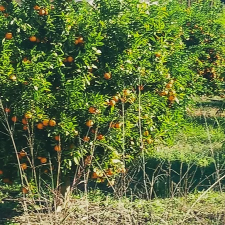شقة La Casa Della Nonna