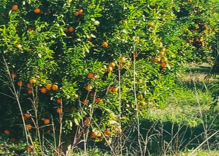 Appartement La Casa Della Nonna